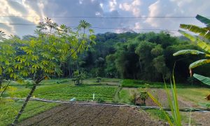 IMG_20260802_202127